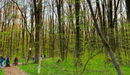 Un palat de cleștar în mijlocul naturii, vă rog!