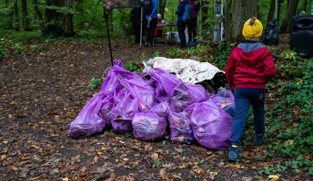 Clean & Run, pădure curată pentru o viață sănătoasă