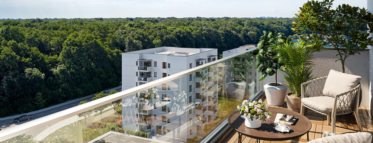 Cartier îmbrățișat de pădure