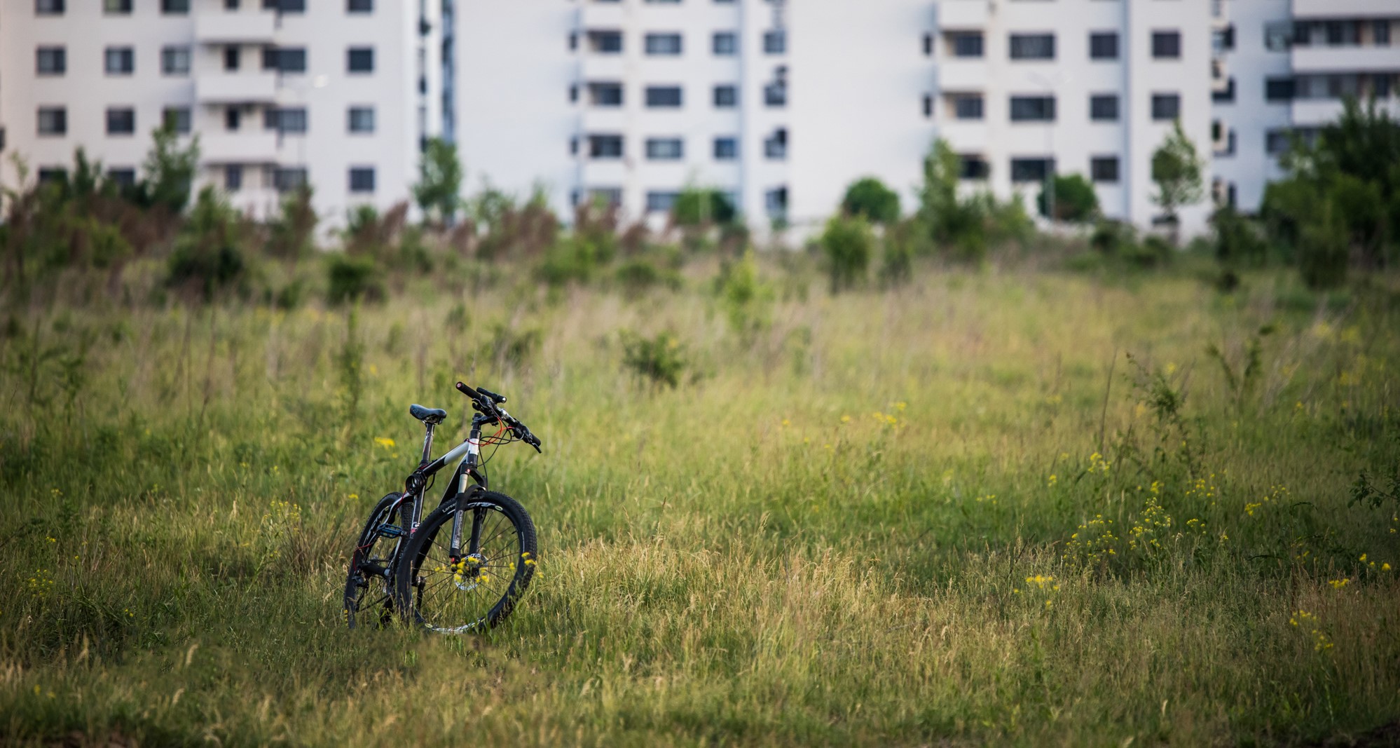 Trei activități pentru care vei iubi Apartamentul tău din Greenfield!