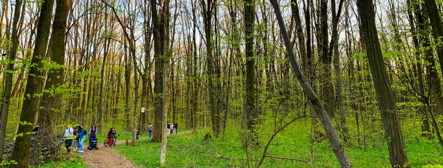 Un palat de cleștar în mijlocul naturii, vă rog!