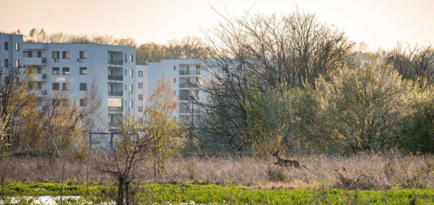 Natura știe cum să ne spună că #totulvafibine