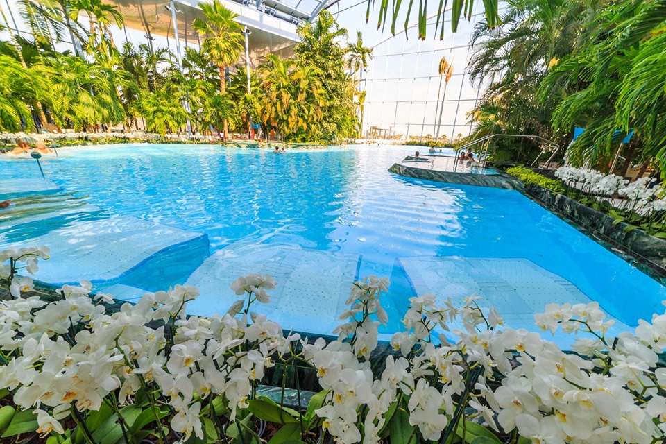 Cele mai tentante piscine din Sectorul 1, aproape de Greenfield Cele mai tentante piscine din Sectorul 1, aproape de Greenfield