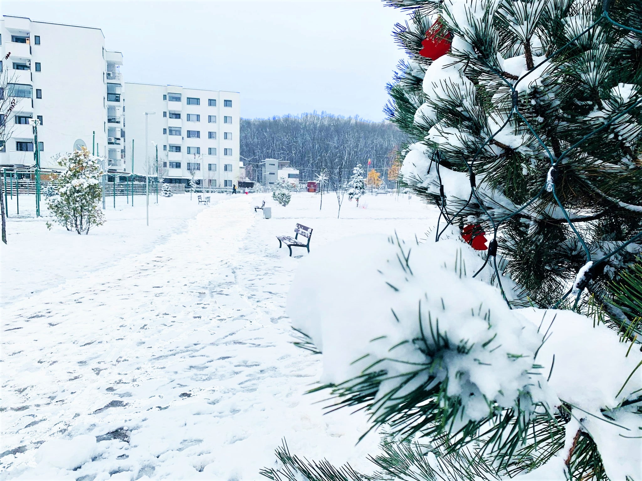 Apartamente de vanzare Bucuresti Nord din oferta Greenfield Baneasa