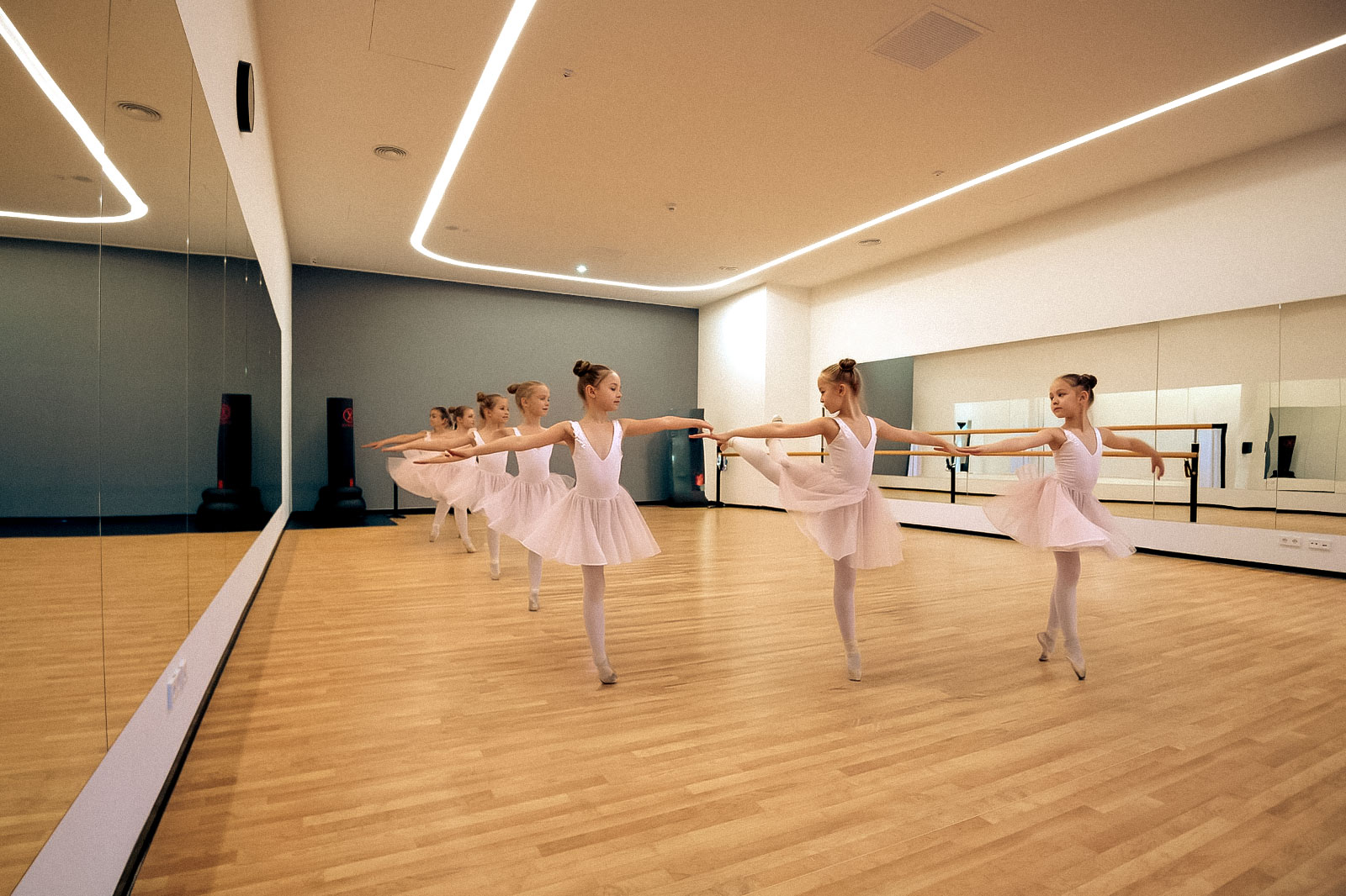 STUDIO DE DANS, BALET, ARTE MARTIALE la Wellness Club by Greenfield